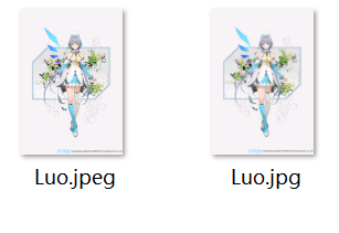 即便如此其选项还是使用视频流的(video)